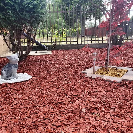 Tiszaviz Vendeghaz *