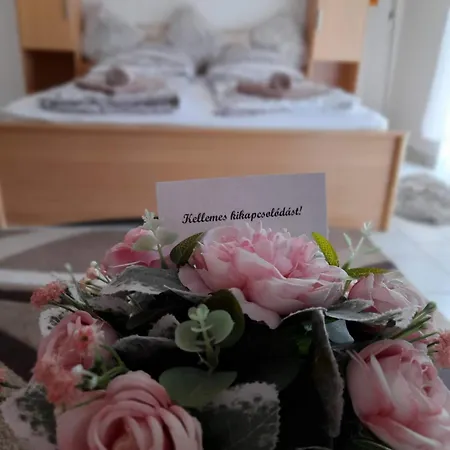 Tiszaviz Vendeghaz * Tiszafüred