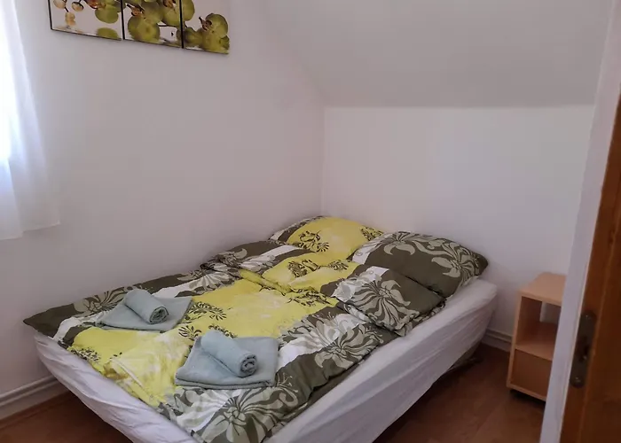 Tiszaviz Vendeghaz Apartament *
